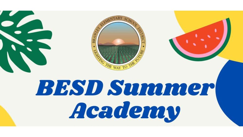 BESD Summer Academy