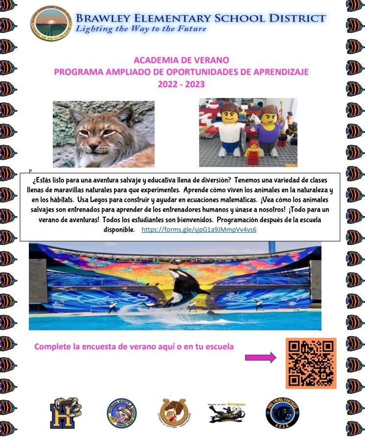 Spanish Programming Flyer